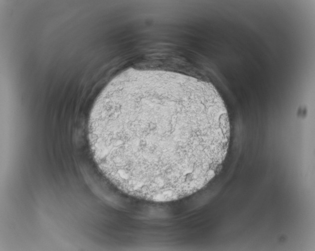 X0000113070073200910091218