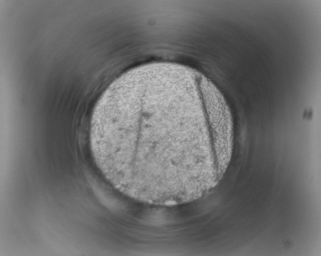 X0000113070074200910091218