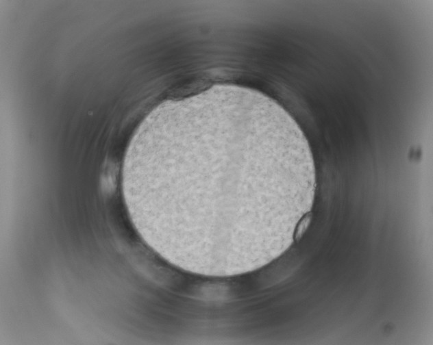 X0000113070075200910091218