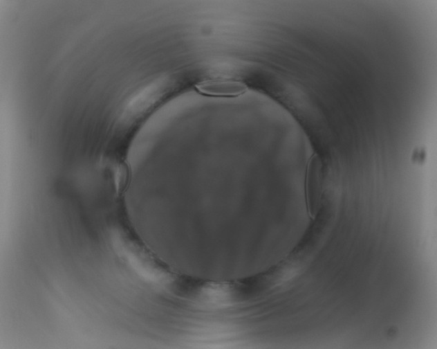 X0000113070076200910091218