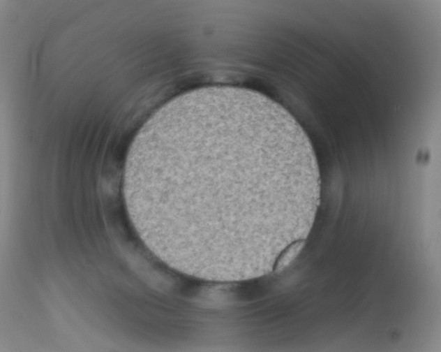 X0000113070078200910091218