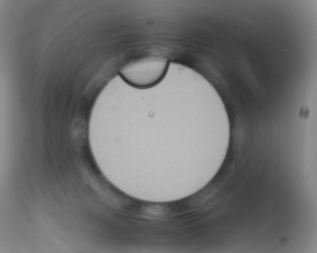 X0000113070079200910091218