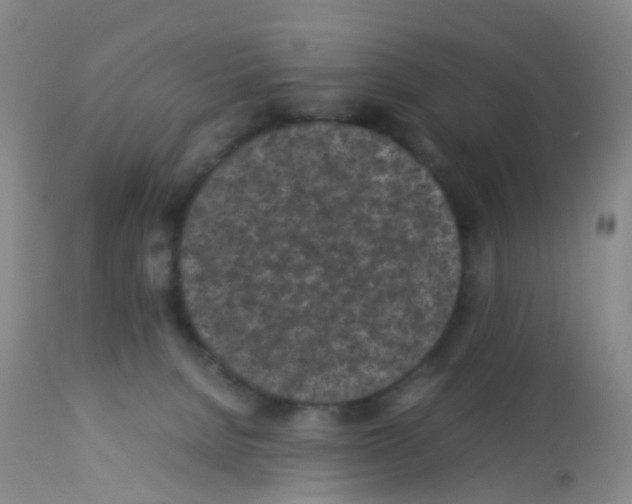 X0000113070080200910091218
