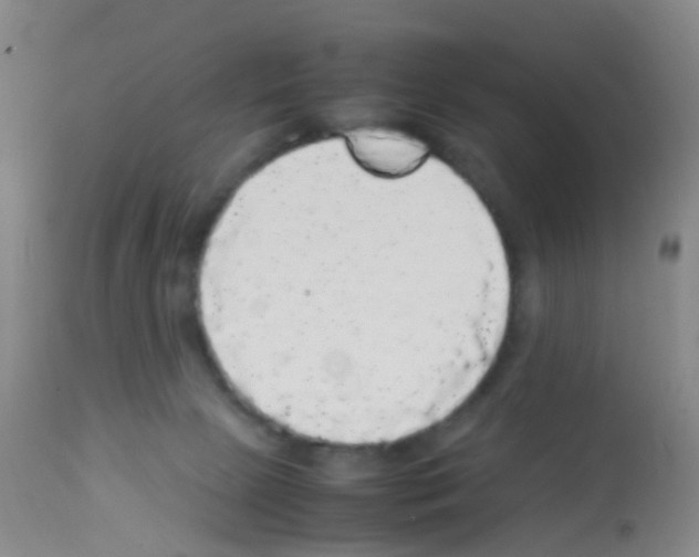 X0000113070081200910091218