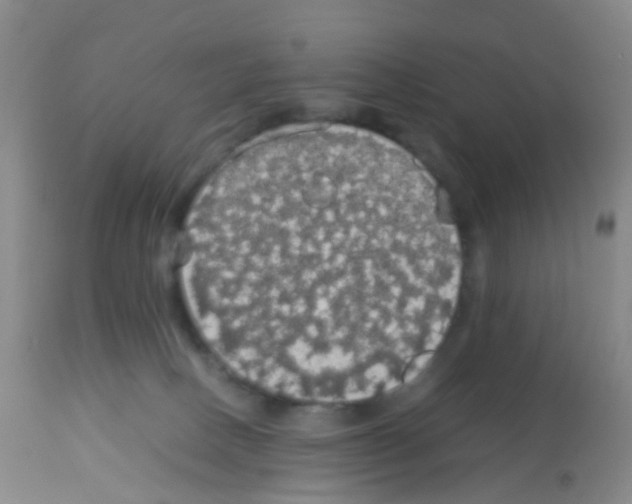 X0000113070082200910091218