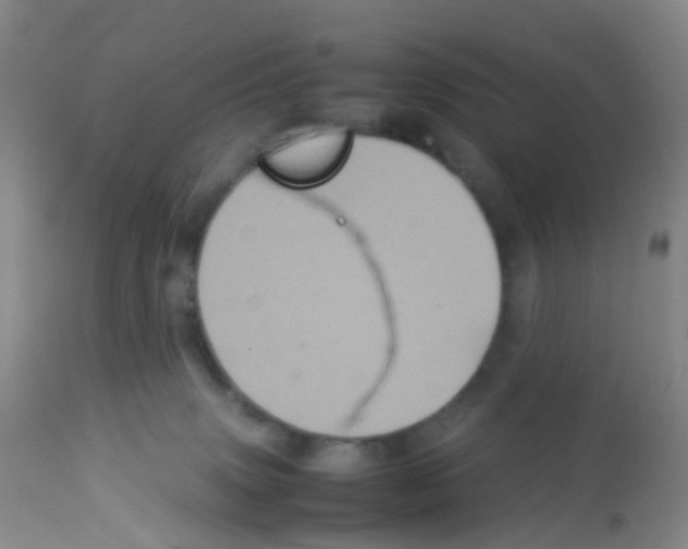 X0000113070083200910091218