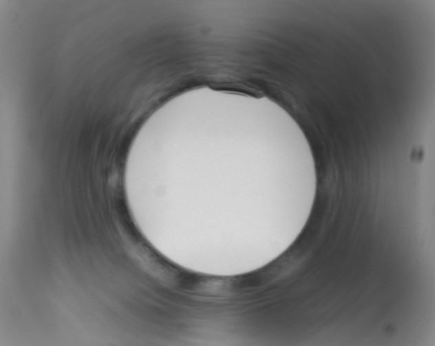X0000113070084200910091218