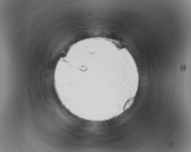 X0000113070085200910091218