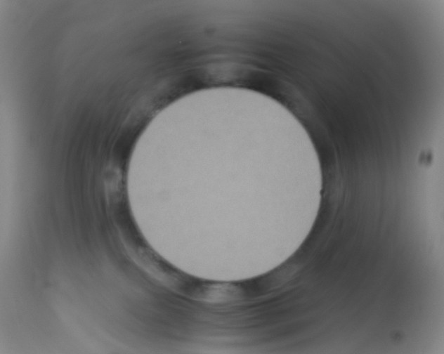 X0000113070087200910091218