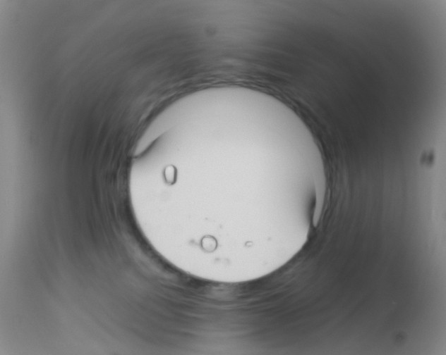 X0000113070088200910091218