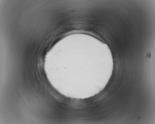 X0000113070089200910091218