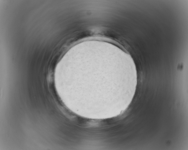 X0000113070090200910091218