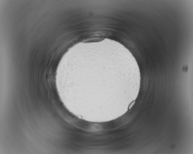 X0000113070091200910091218