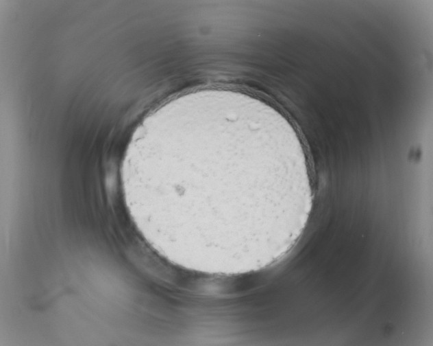 X0000113070094200910091218