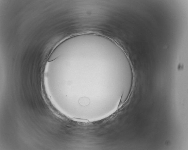 X0000113070097200910091217