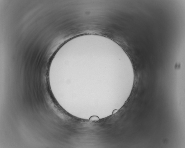 X0000113070098200910091217