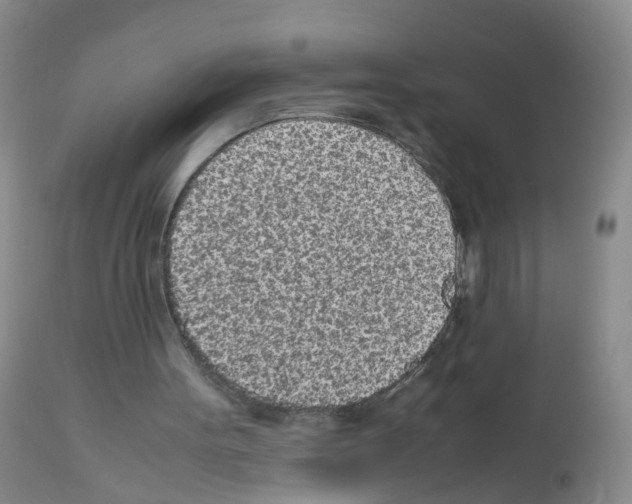 X0000113070099200910091217