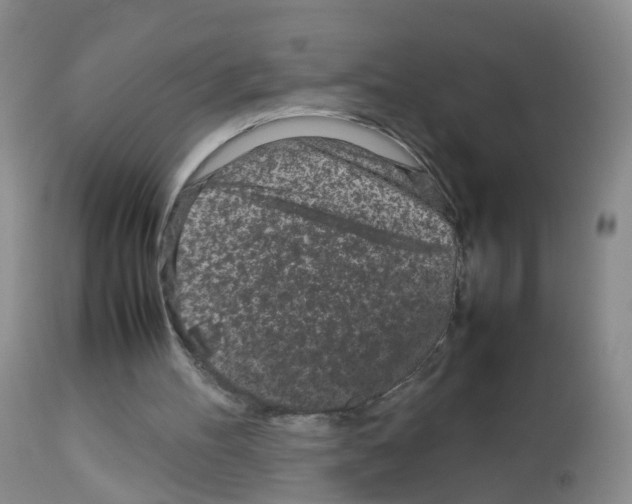 X0000113070100200910091217