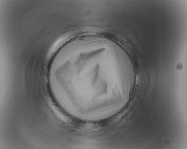 X0000113070101200910091217