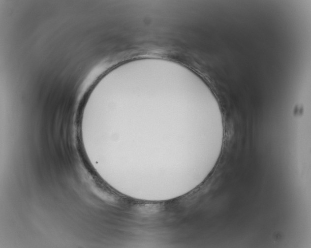 X0000113070102200910091217