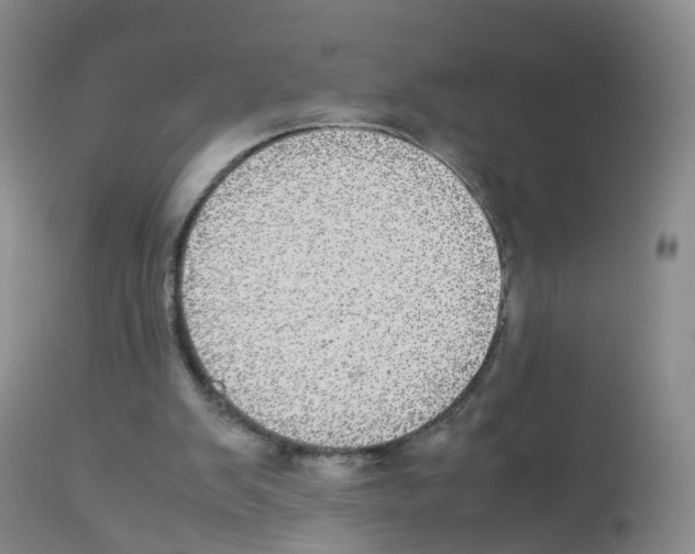 X0000113070103200910091217