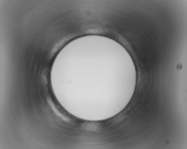 X0000113070106200910091217