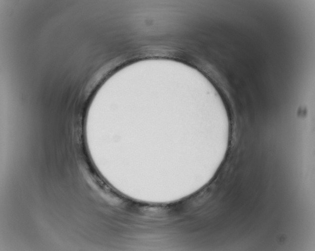 X0000113070107200910091217