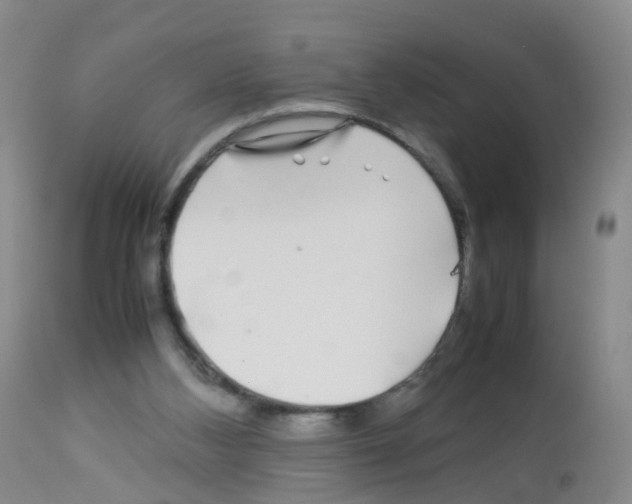 X0000113070108200910091217