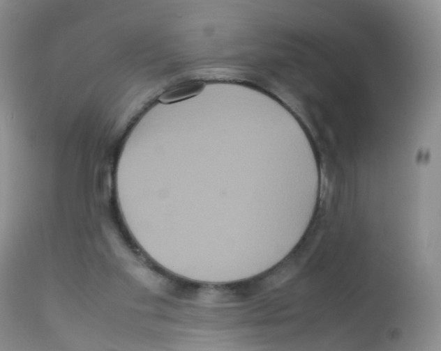 X0000113070109200910091217