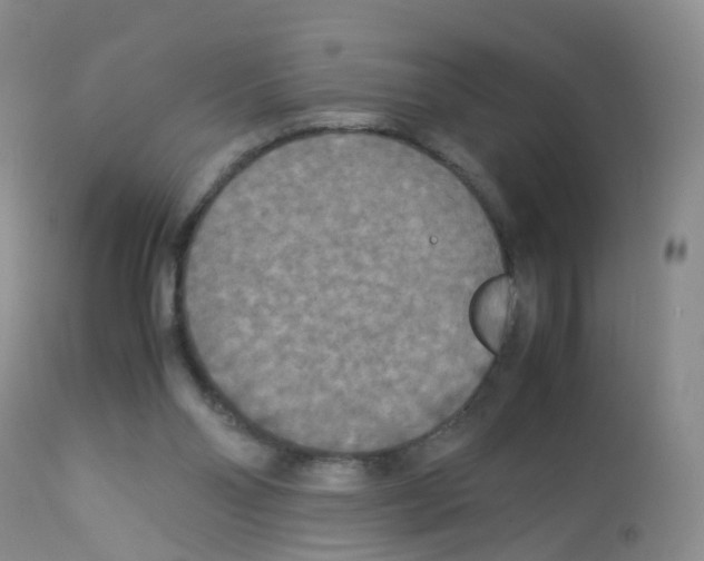 X0000113070110200910091217