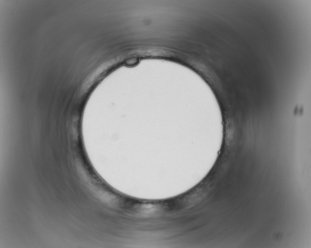 X0000113070111200910091217