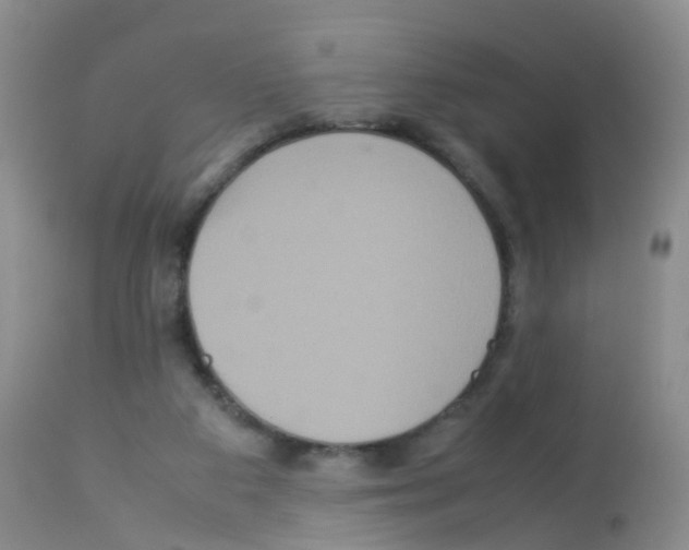 X0000113070113200910091217