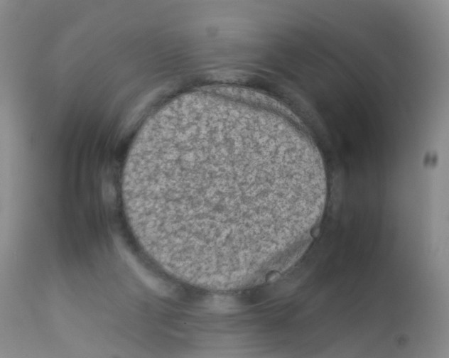 X0000113070114200910091217