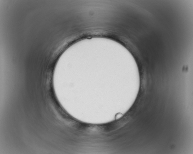 X0000113070115200910091217