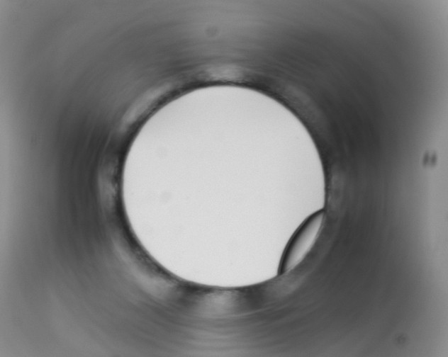 X0000113070116200910091217