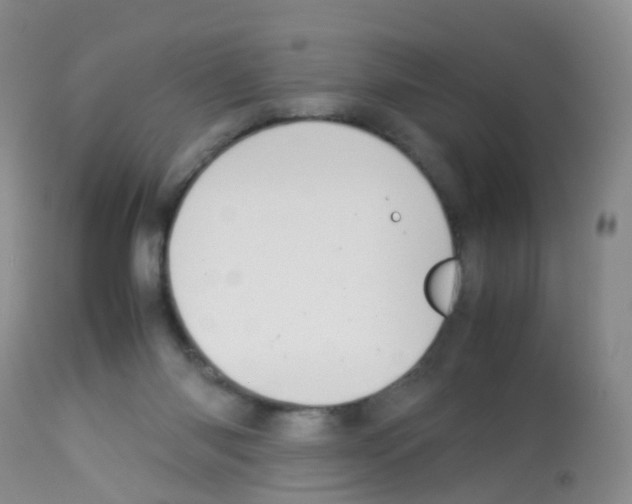X0000113070118200910091217