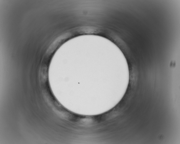 X0000113070119200910091217