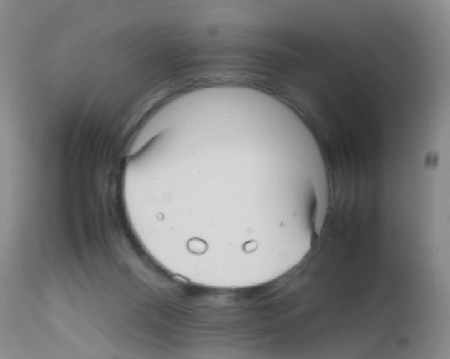 X0000113070120200910091217