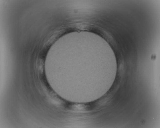 X0000113070121200910091217