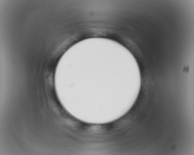 X0000113070123200910091217