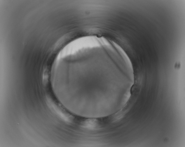 X0000113070124200910091217