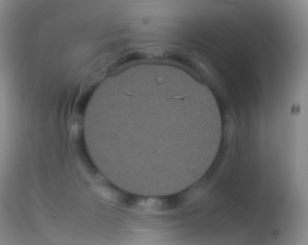 X0000113070125200910091217