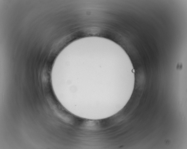 X0000113070126200910091217