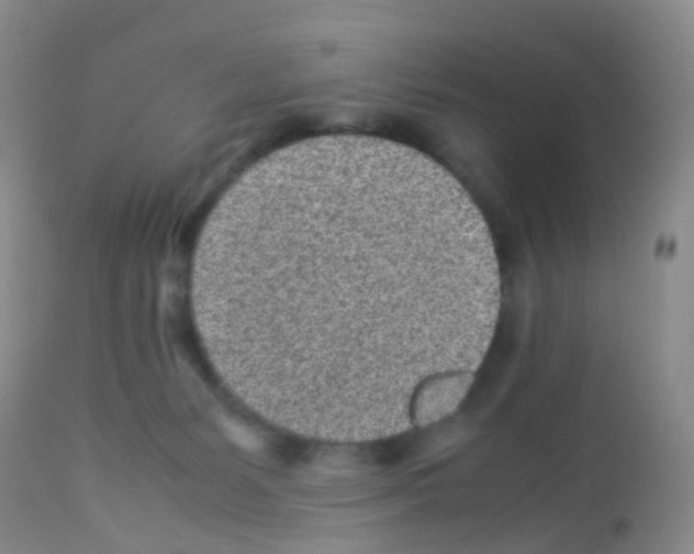 X0000113070127200910091217