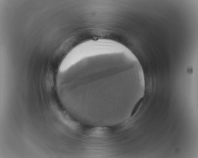 X0000113070128200910091217