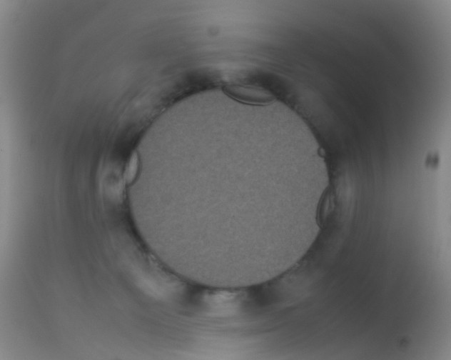 X0000113070129200910091217