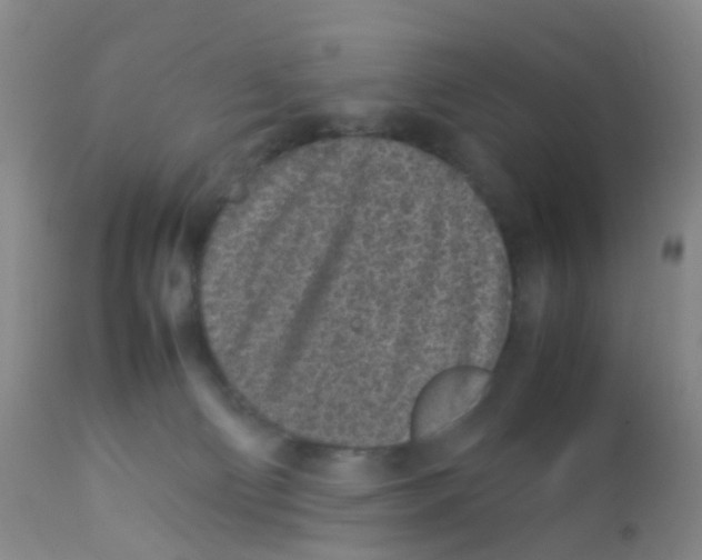 X0000113070130200910091217