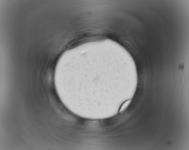 X0000113070131200910091217