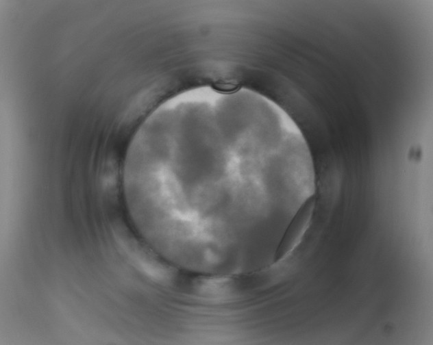 X0000113070132200910091217