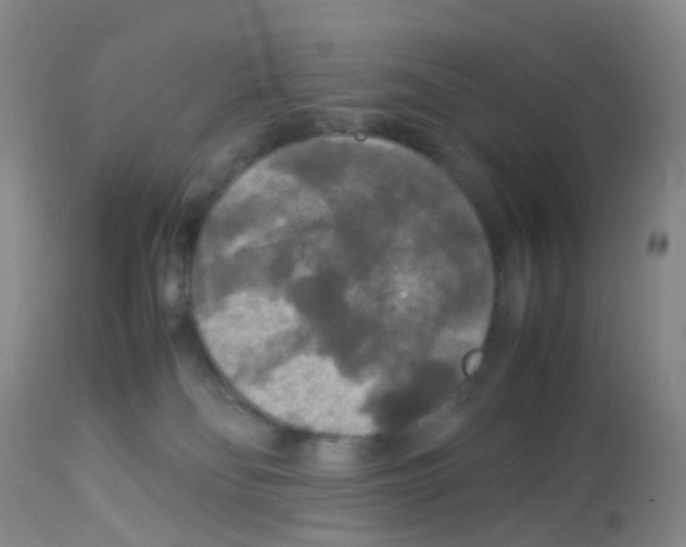 X0000113070134200910091216